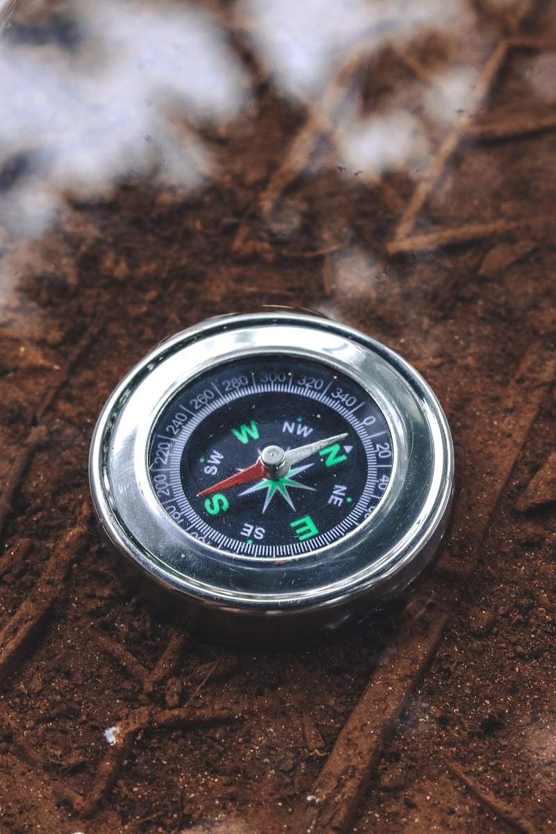 Temporal Compass